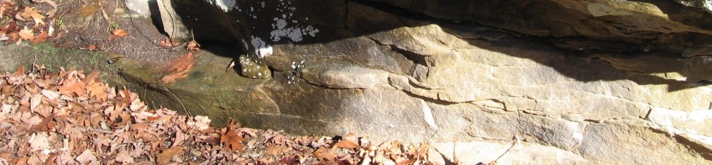 Rocks and Leaves