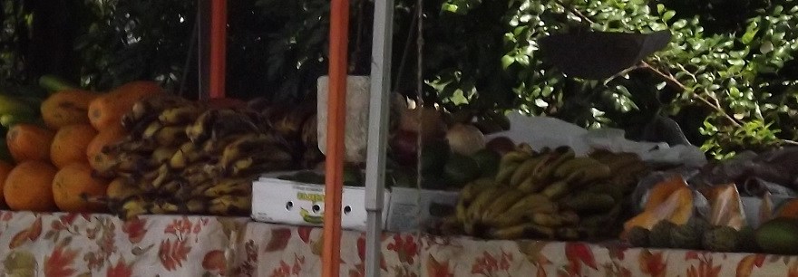Roadside Fruit Stand