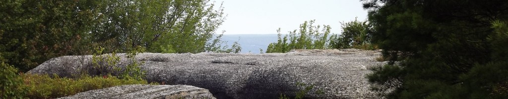 Rock Overlook