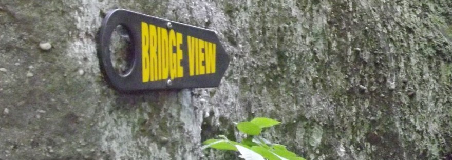 Bridge View Sign