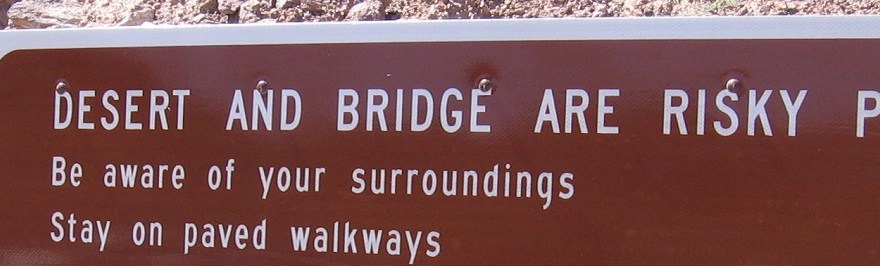 Desert and Bridge are Risky Places